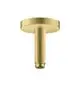 AXOR-HG-AXOR-ShowerSolutions-Deckenanschluss-100-mm-Brushed-Brass-26432950 gallery number 1